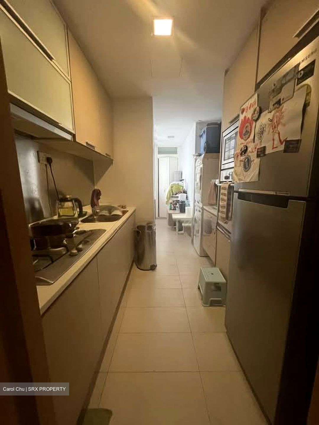 8 @ Mount Sophia (D9), Condominium #535305771